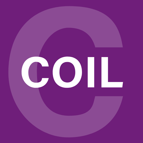 Q-Helix Collaborative Online International Learning